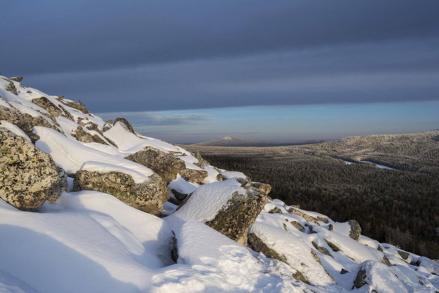 , Андрей Шарапов