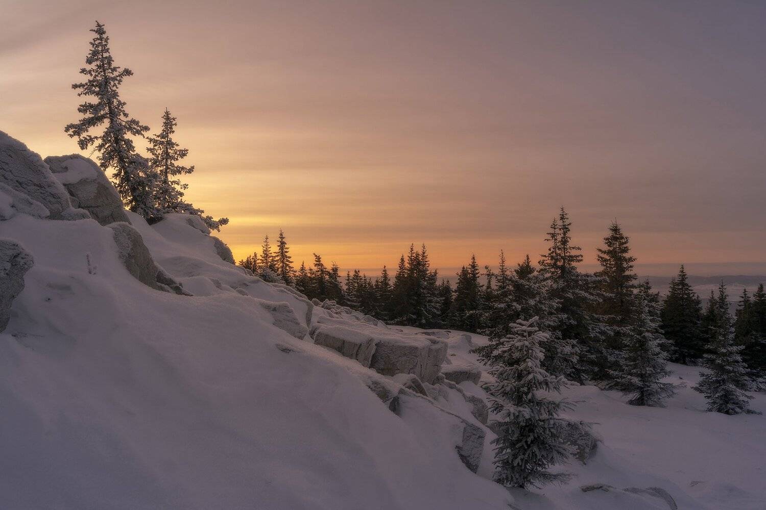 , Андрей Шарапов