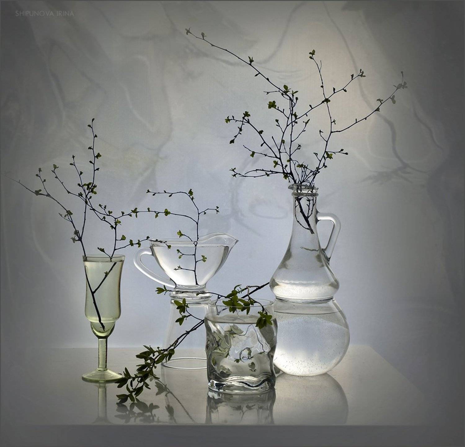 , Шипунова Ирина