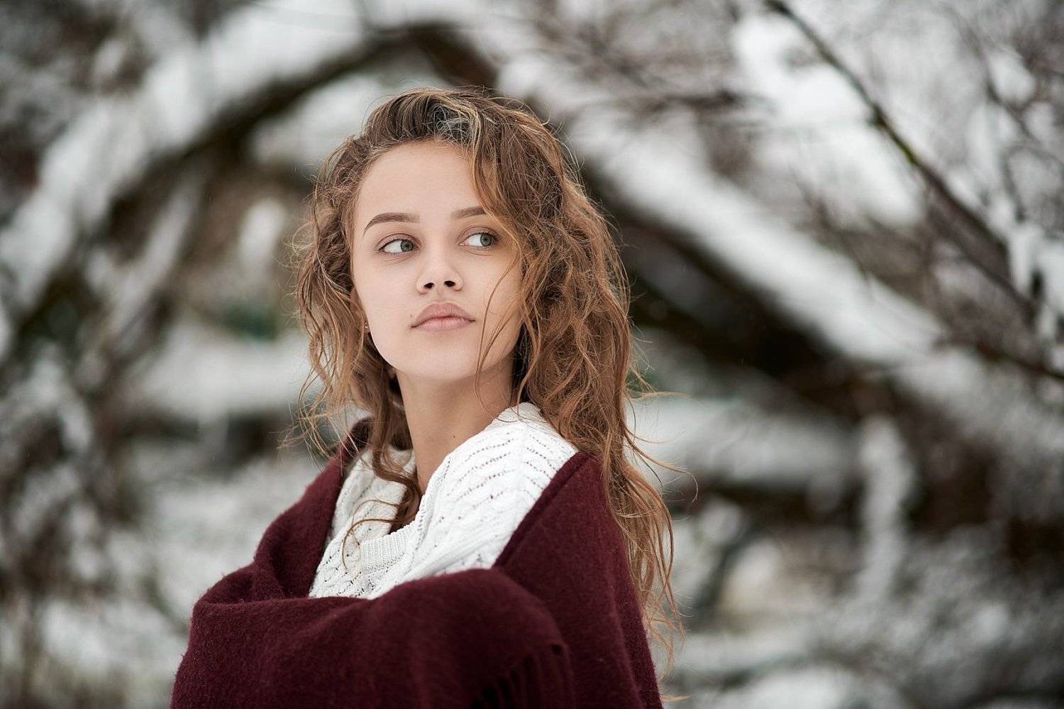 , Веселов Александр