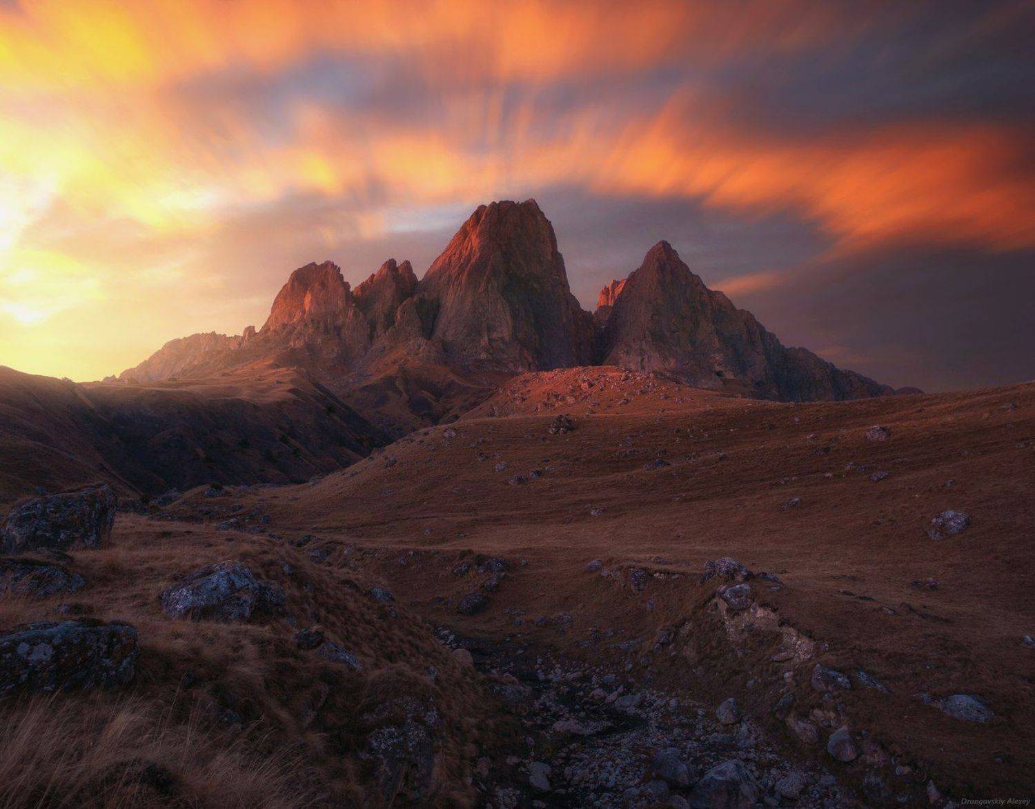 , Алексей Дранговский