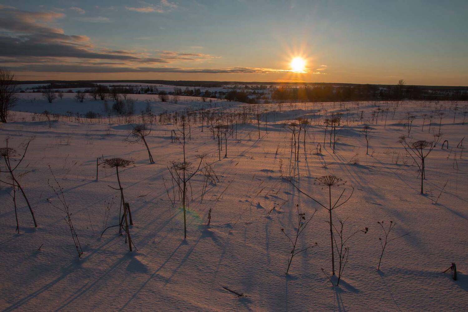 , Александр