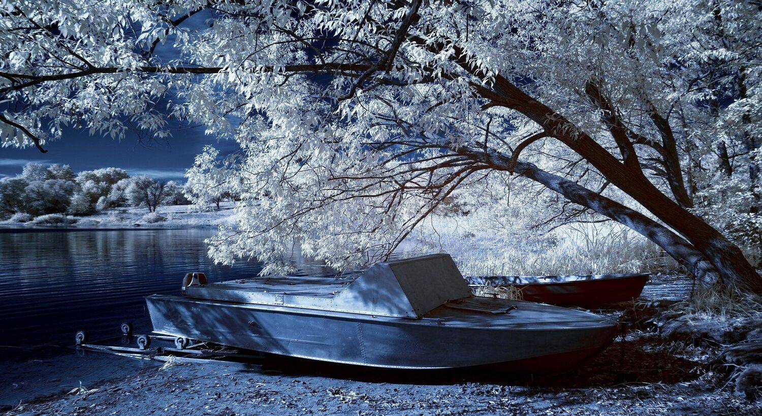 infrared,ик-фото,инфракрасное фото,инфракрасная фотография,пейзаж,природа,беларусь,осень, Sixten ( Сергей )