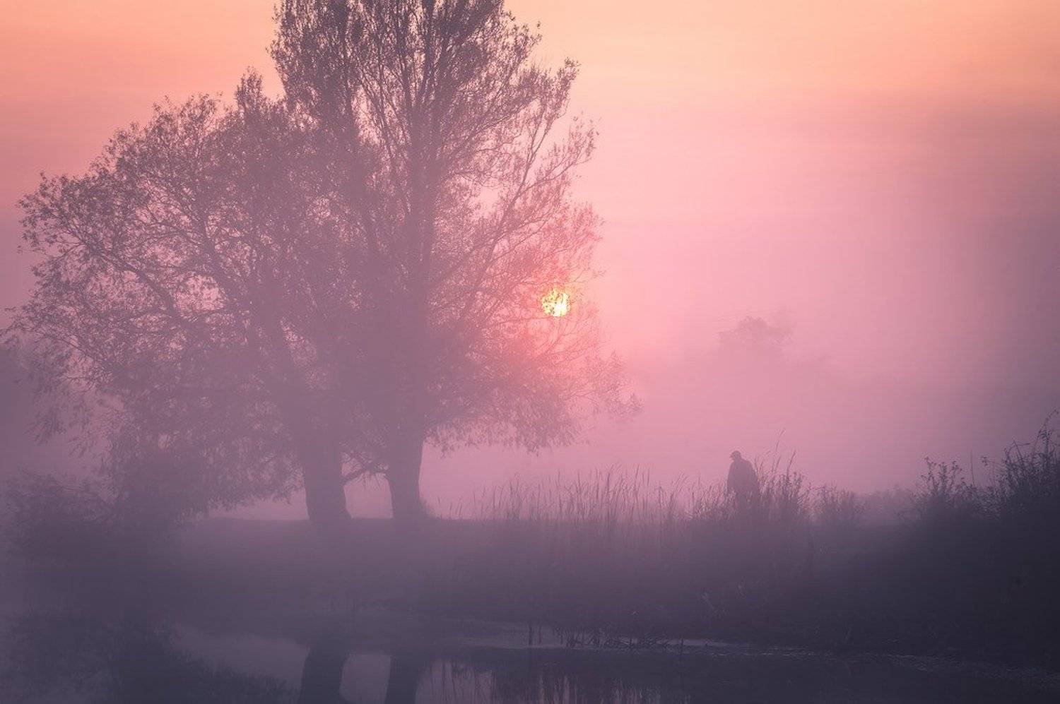 , Вячеслав Мищенко
