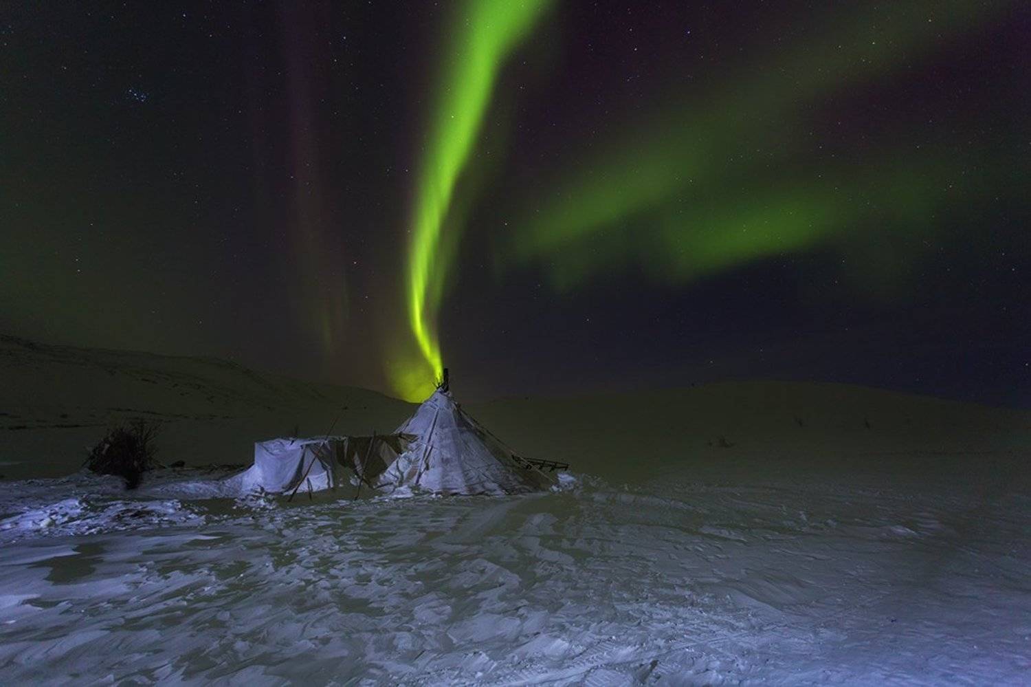 , Щипкова Елена