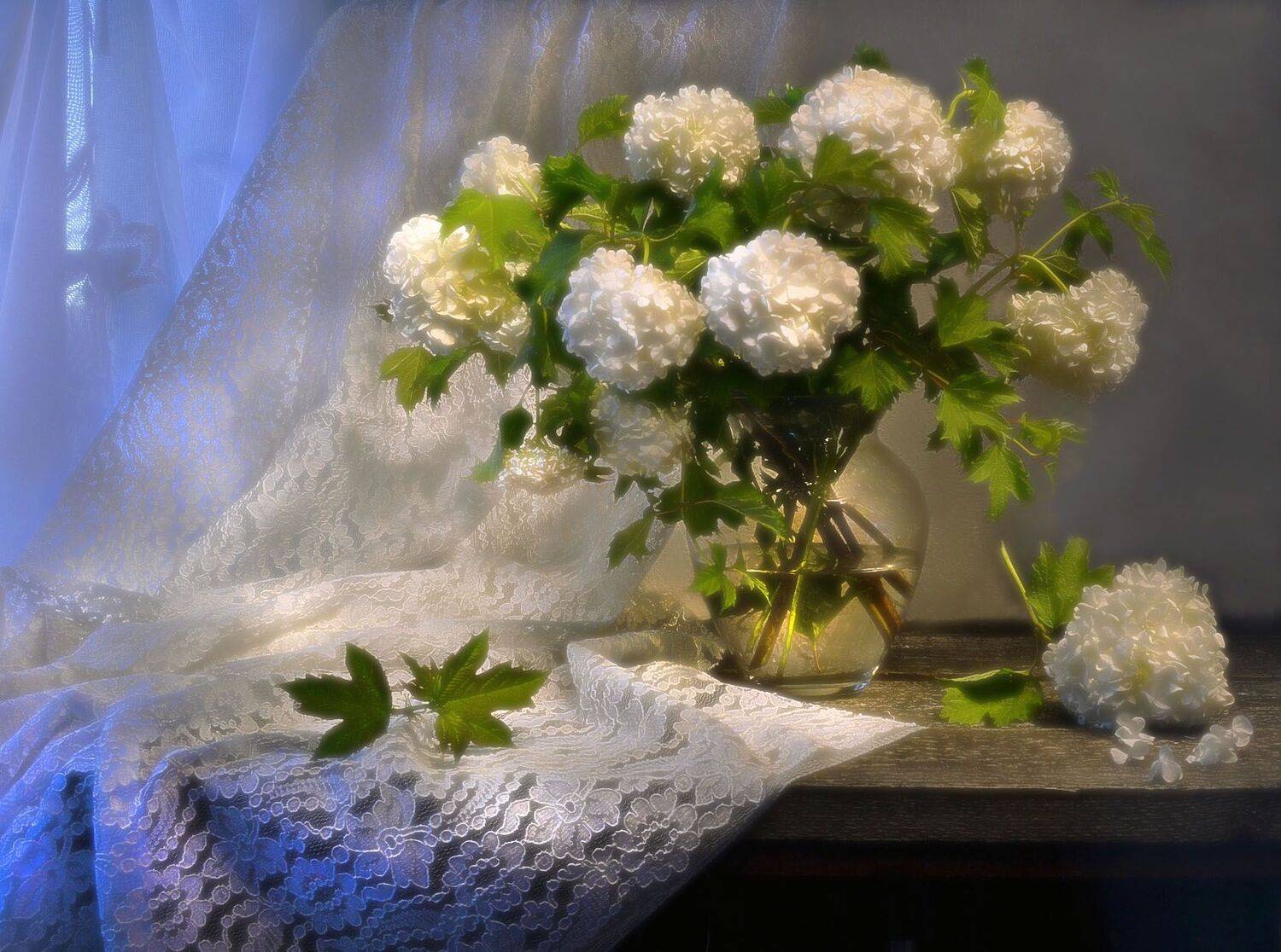 still life, натюрморт, белая ночь, июнь, калина, летний вечер, лето, лунный свет, натюрморт, цветы, Колова Валентина