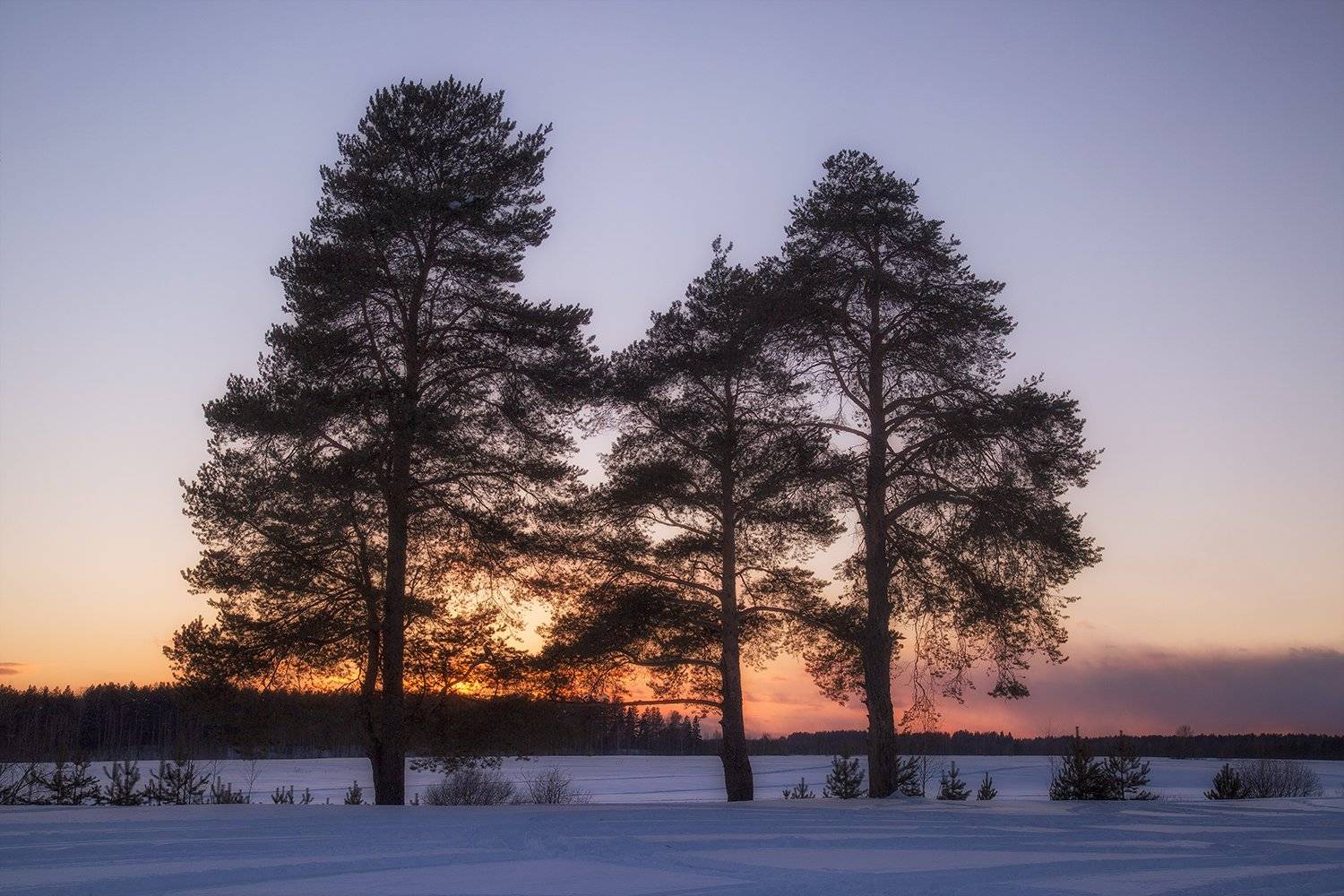 , Поташев Александр