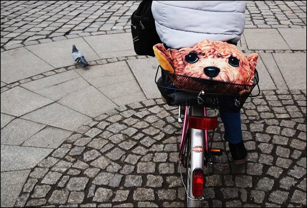 , Krzysztof Trojanowski