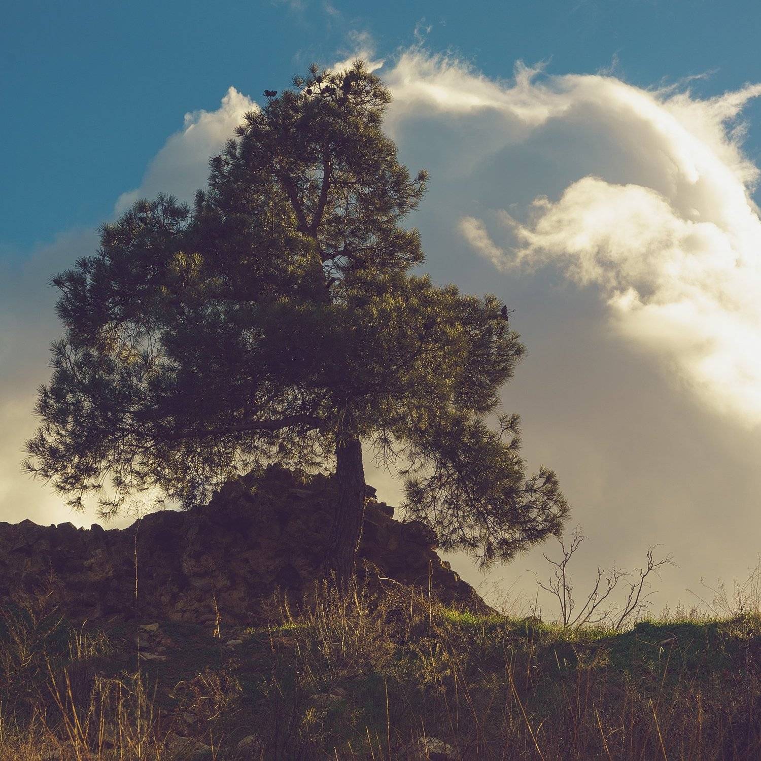 , Астрид Екатерина