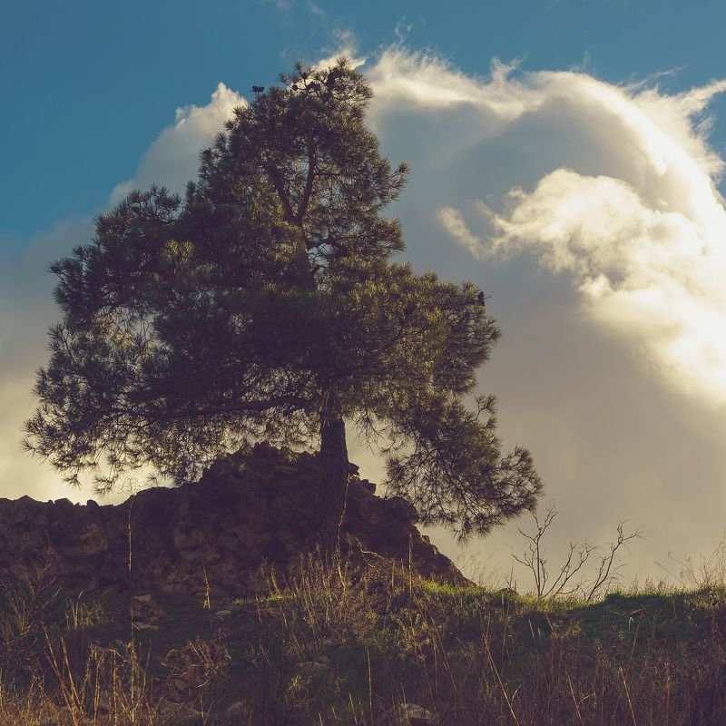 in the mountains фото превью