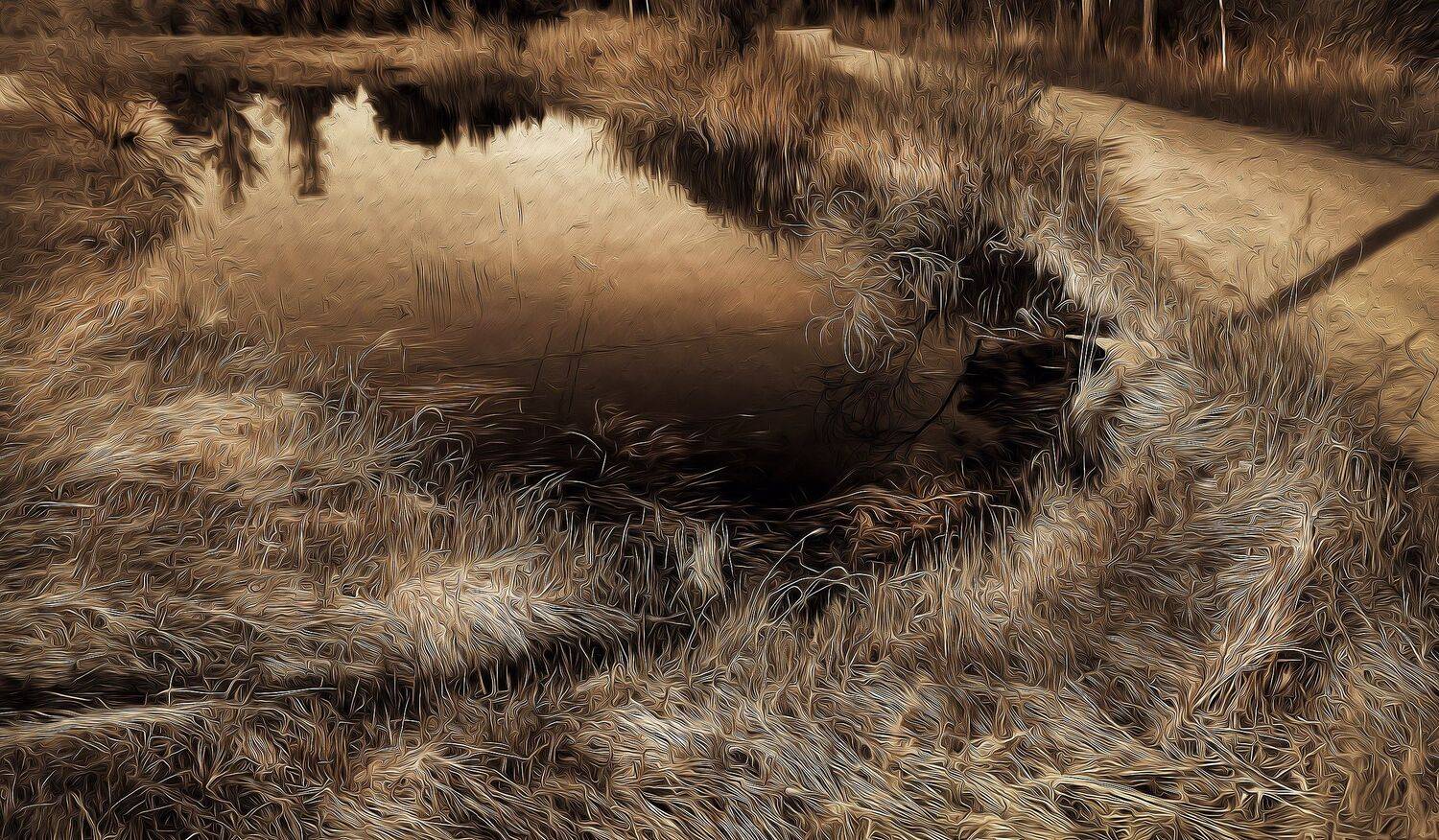 , Бусыгин Борис