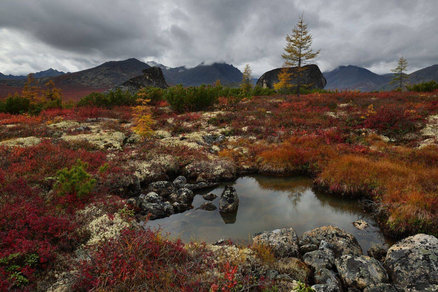 Осень.... Автор: Максим Евдокимов (phototourtravel.ru) , Максим Евдокимов (phototourtravel.ru)