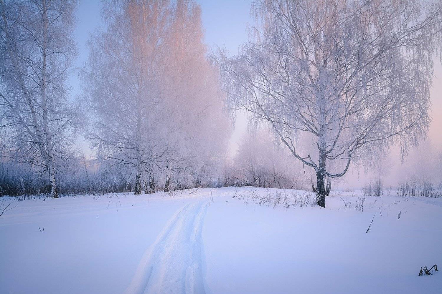 , Анатолий Зверев