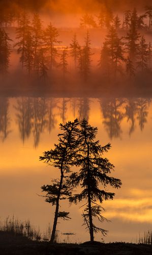 На рассвете