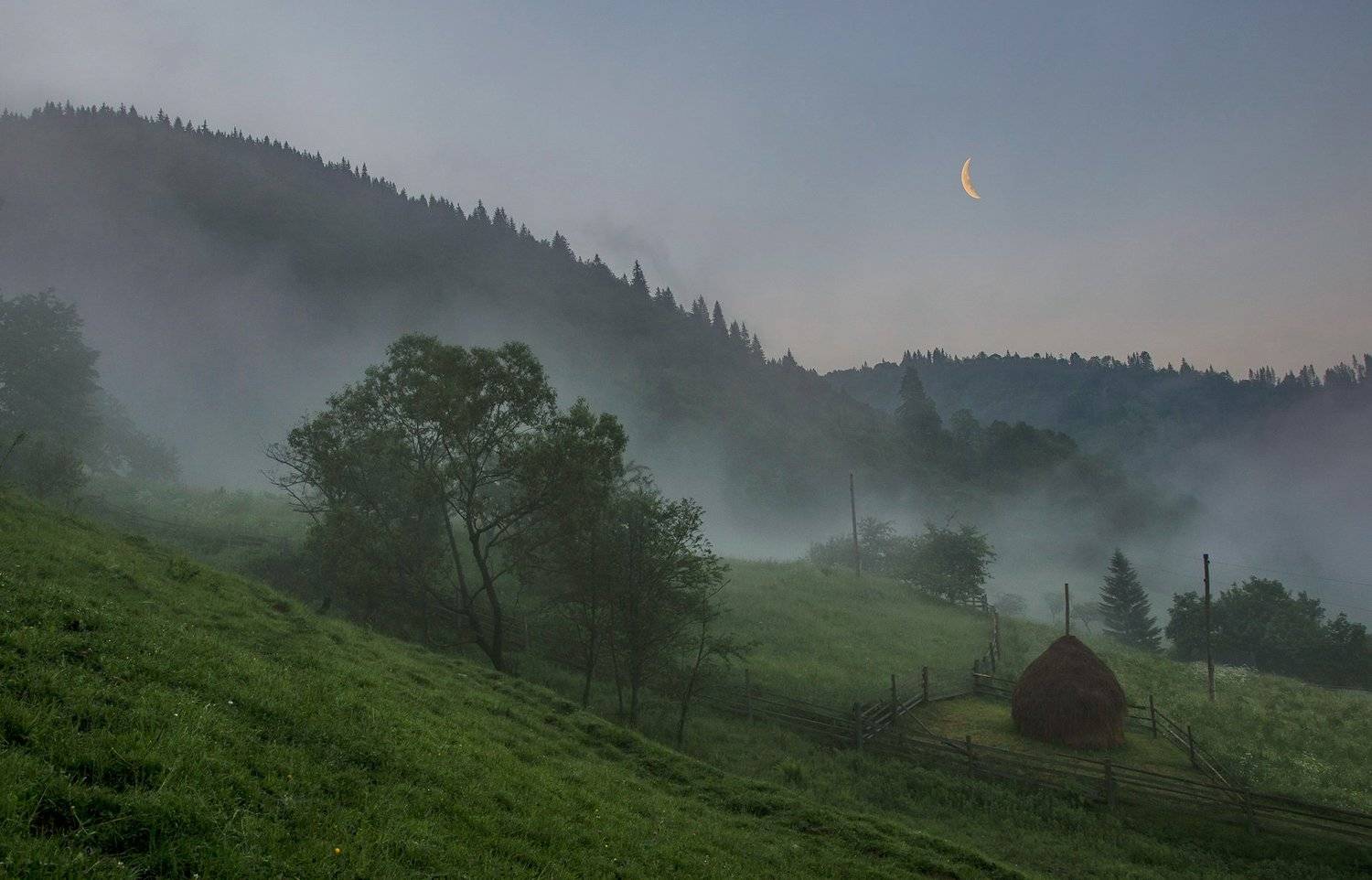 карпаты, июнь, дземброня, утро, туман, Валерий Наумов