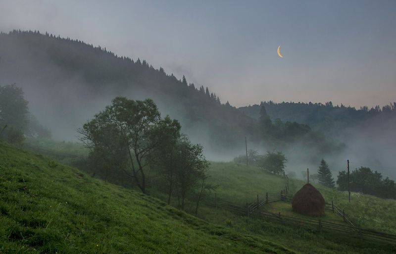 карпаты, июнь, дземброня, утро, туман Предрассветный туман уходящий фото превью