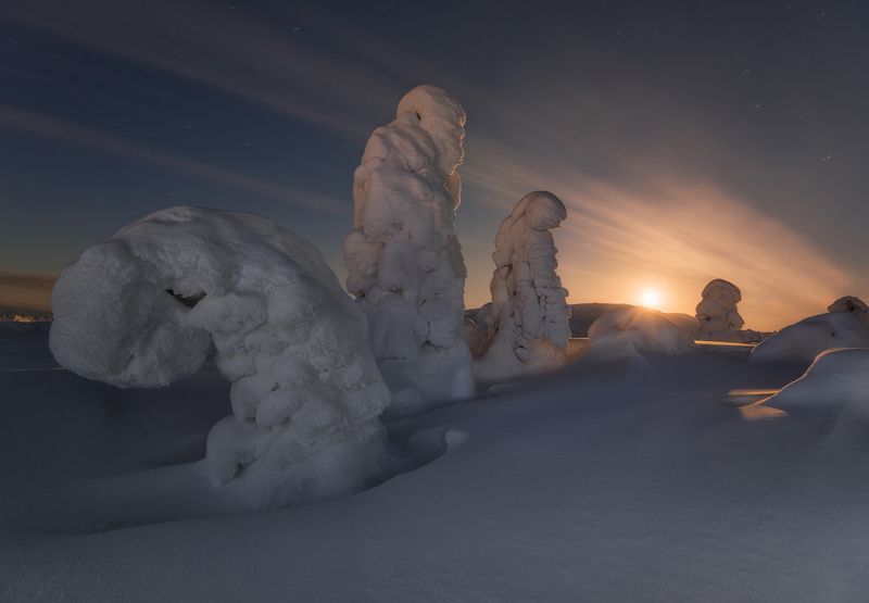 кольский, волосяная Ночные стражи. фото превью
