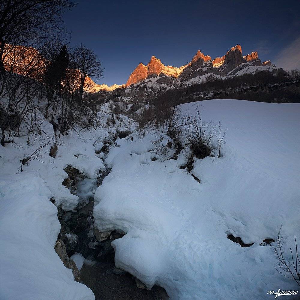 swiss, Матвеев Николай