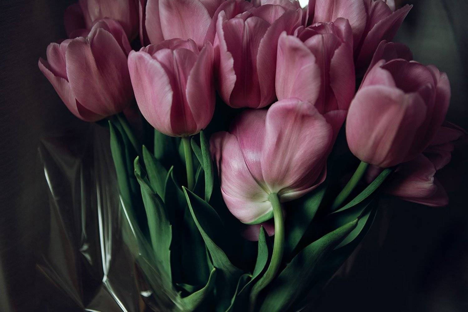 , Ольга Юсупова