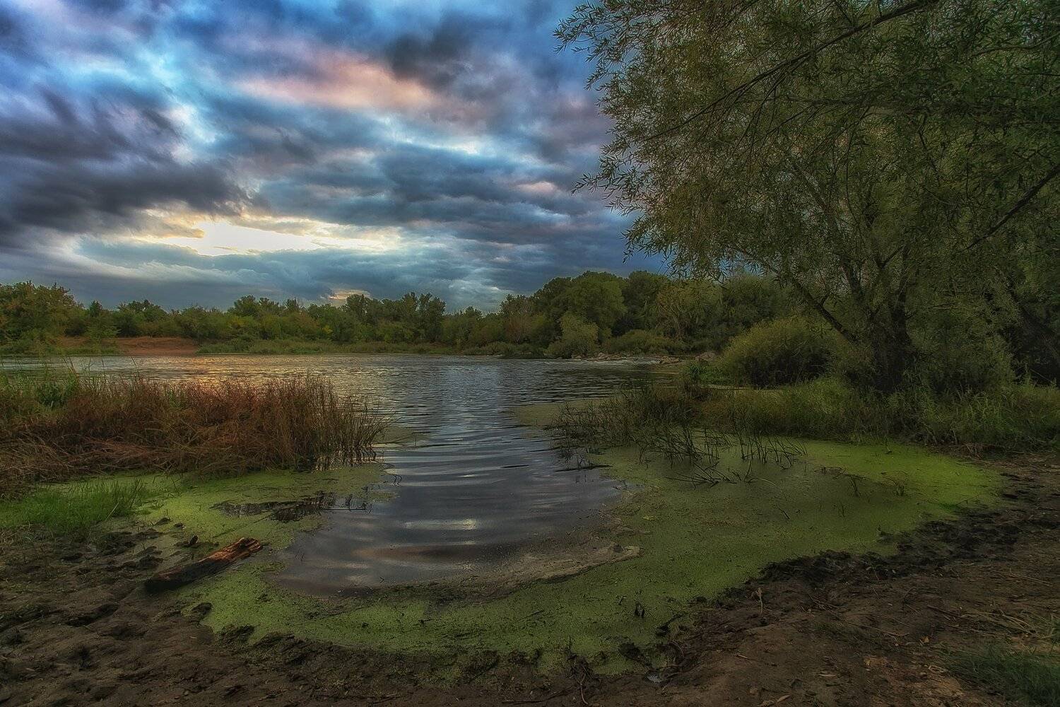 , Павел Сагайдак