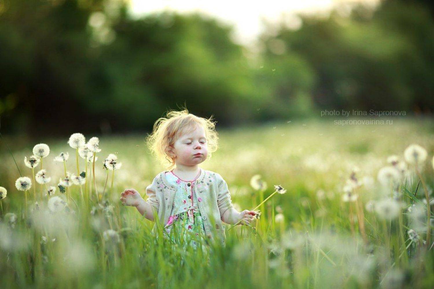 , Сапронова Ирина