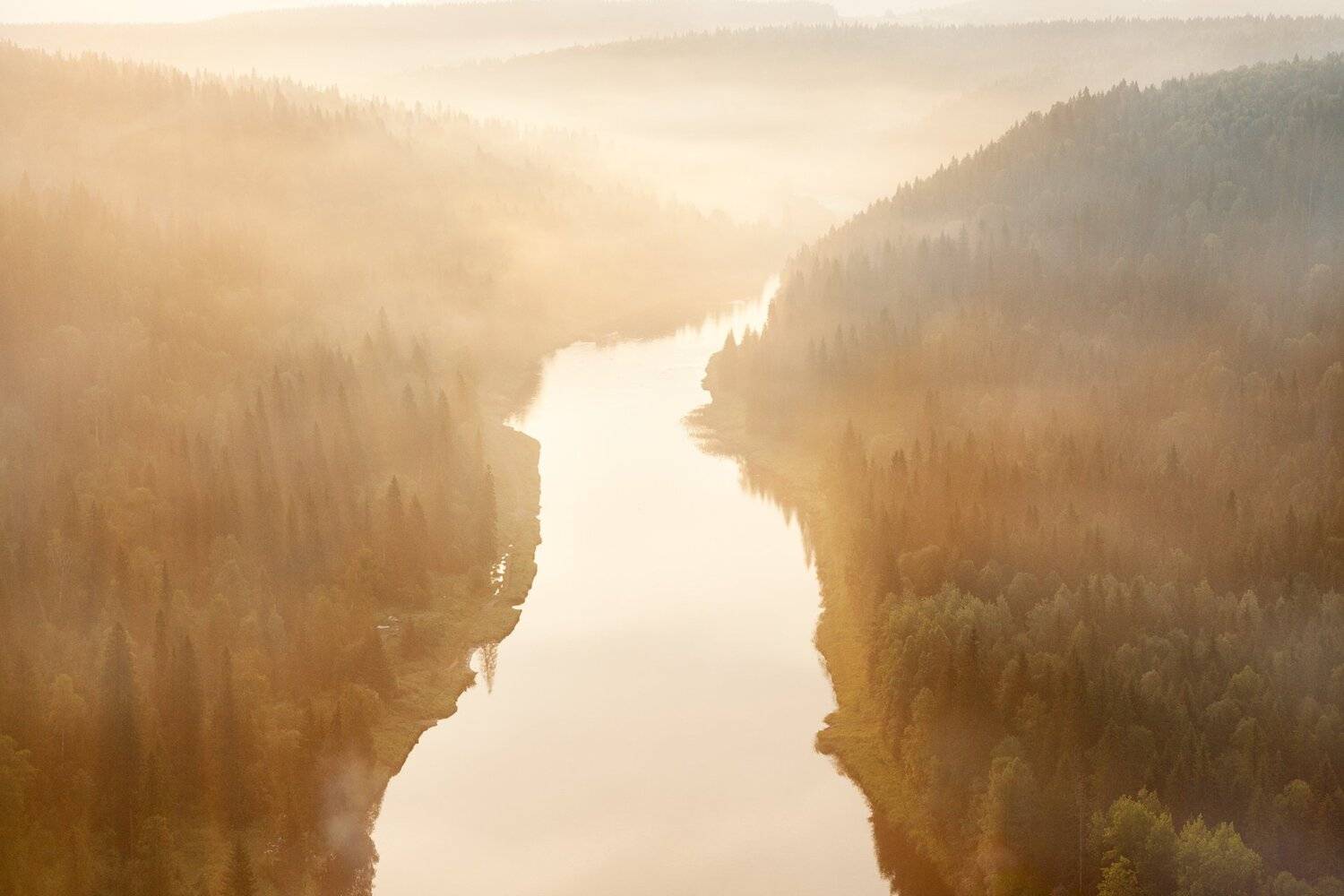 , Сергей Сотников