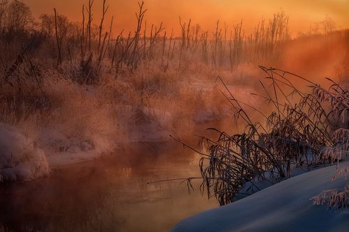 Туманный мороз на восходе