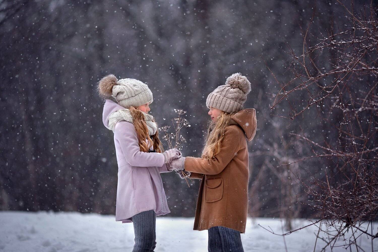 , Елена Силина