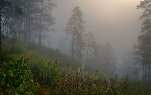 Сказочно тихое утро