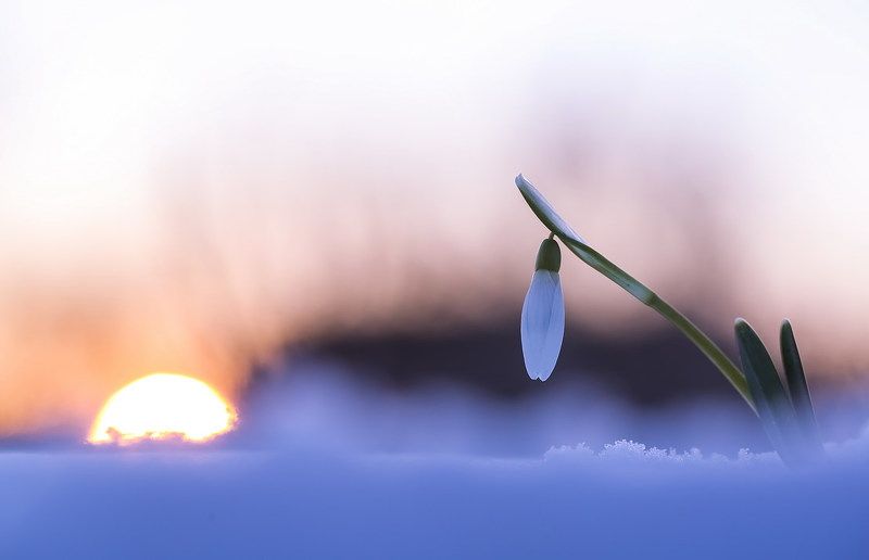 Воздух заварен весной фото превью