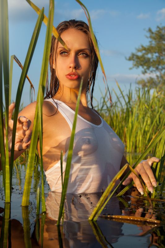 фото , цвет , девушка , гламур , вода , лето , река , вечер Лара Крофт фото превью