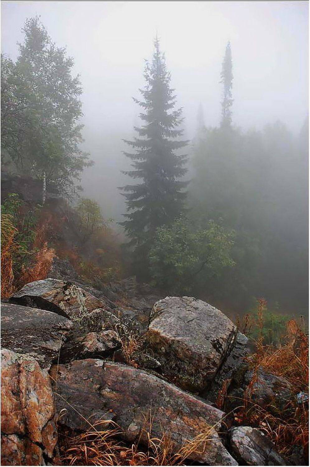 , Кондратьев Алексей