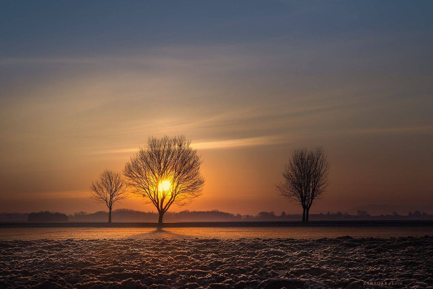 сияющее, дерево,свет, пейзаж, поле, восход солнца, восход солнца, закат, облака, мороз, зима, хрипло, zanfoar, nikon d750, чешская республика,czech republic,чехия, Zanfoar