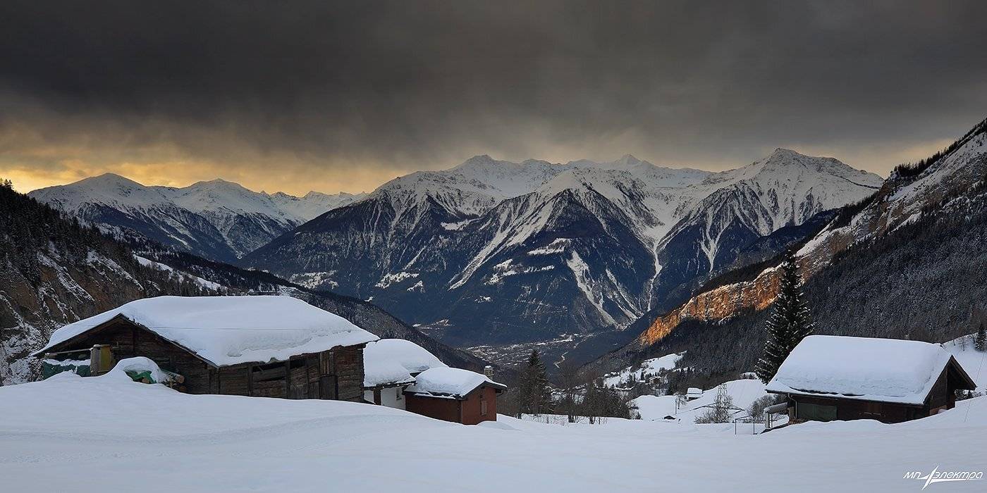 swiss, Матвеев Николай