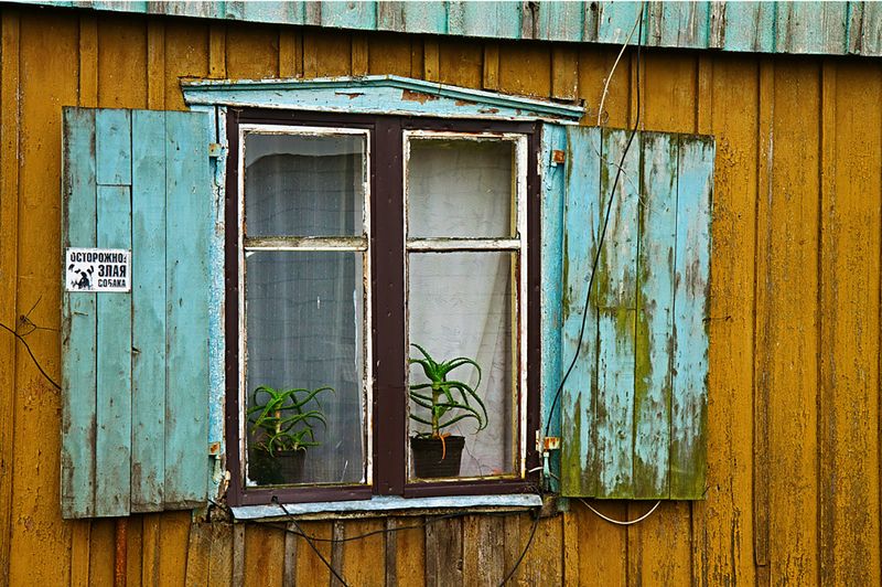 АЛОЭ фото превью