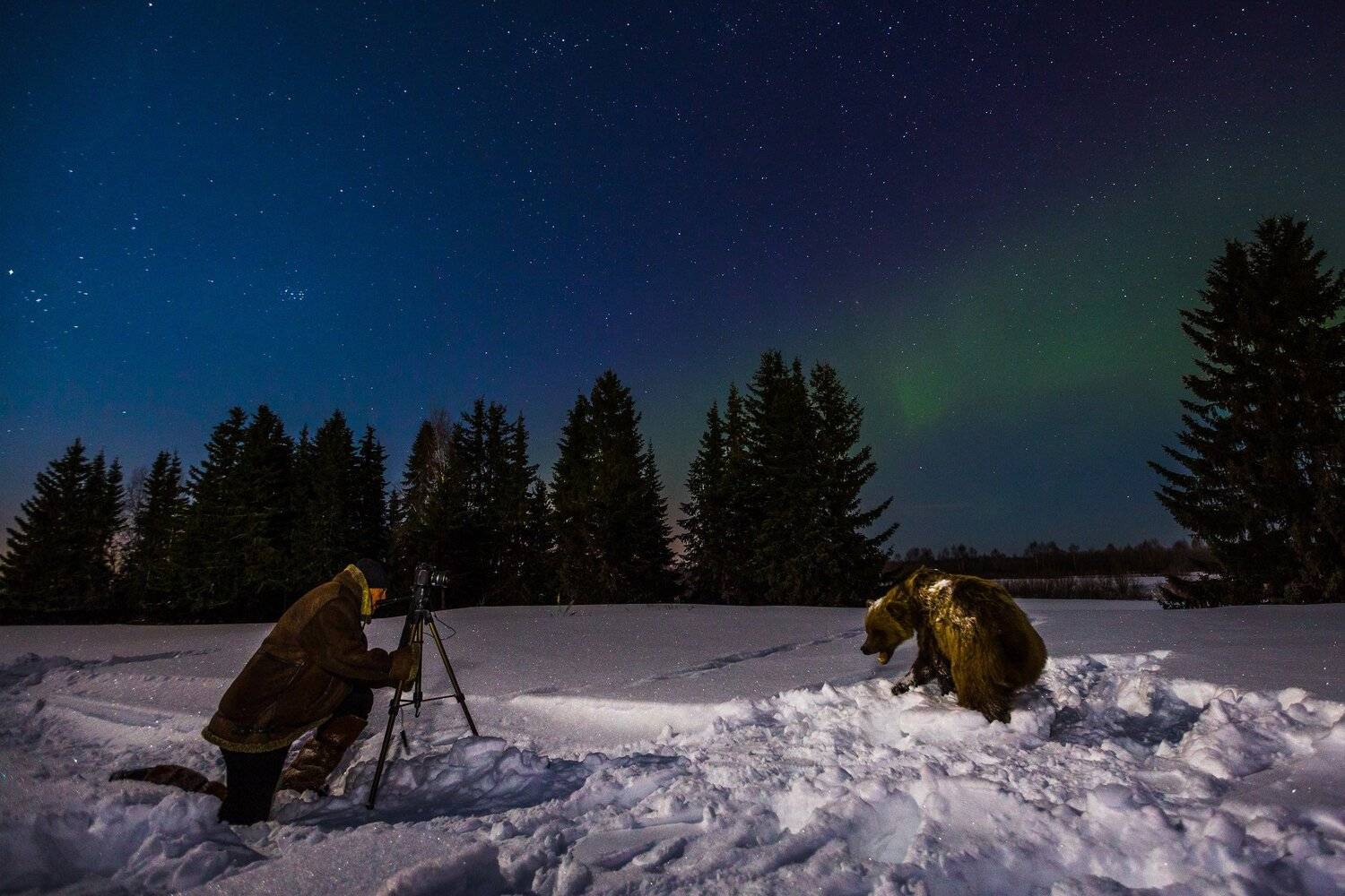 за северным сиянием с музейным экспонатом, Анатолий