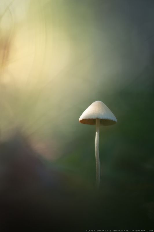 Ничего лишнего фото превью