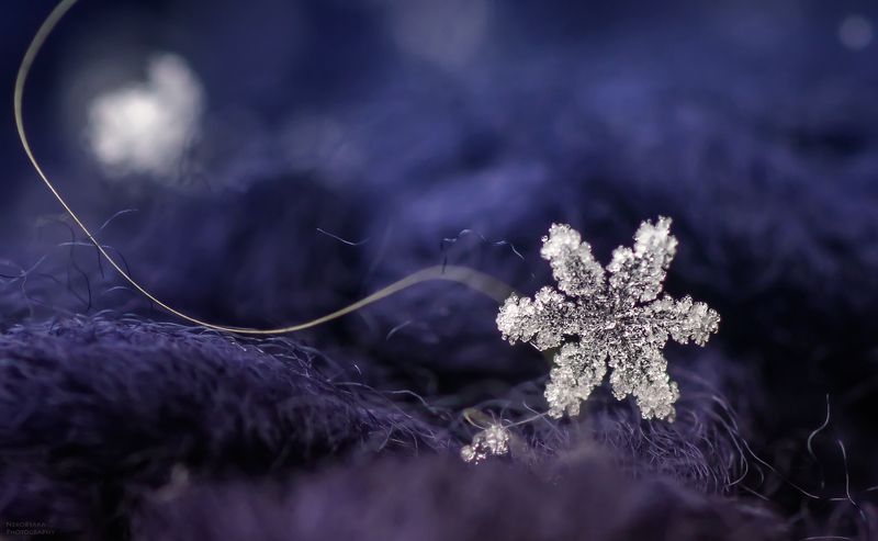 макро, природа, снег, зима, снежинки, мороз, macro, nature, snow, winter, snowflakes, frost, снежинки с сосульками фото превью