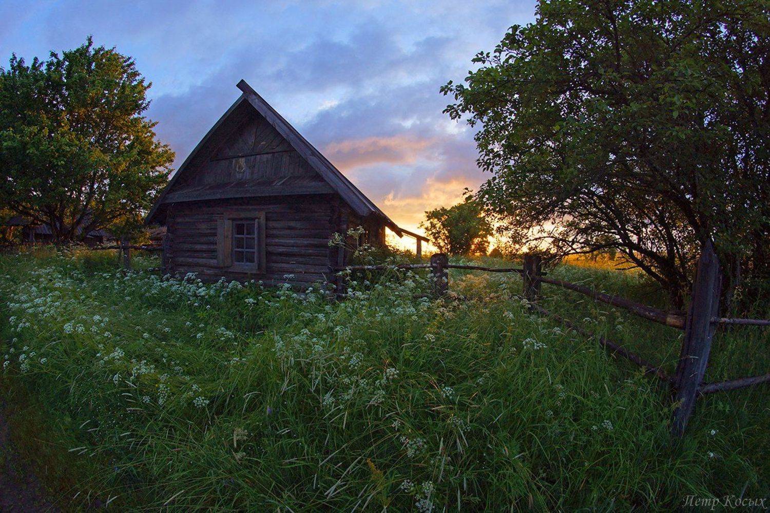 , Петр Косых
