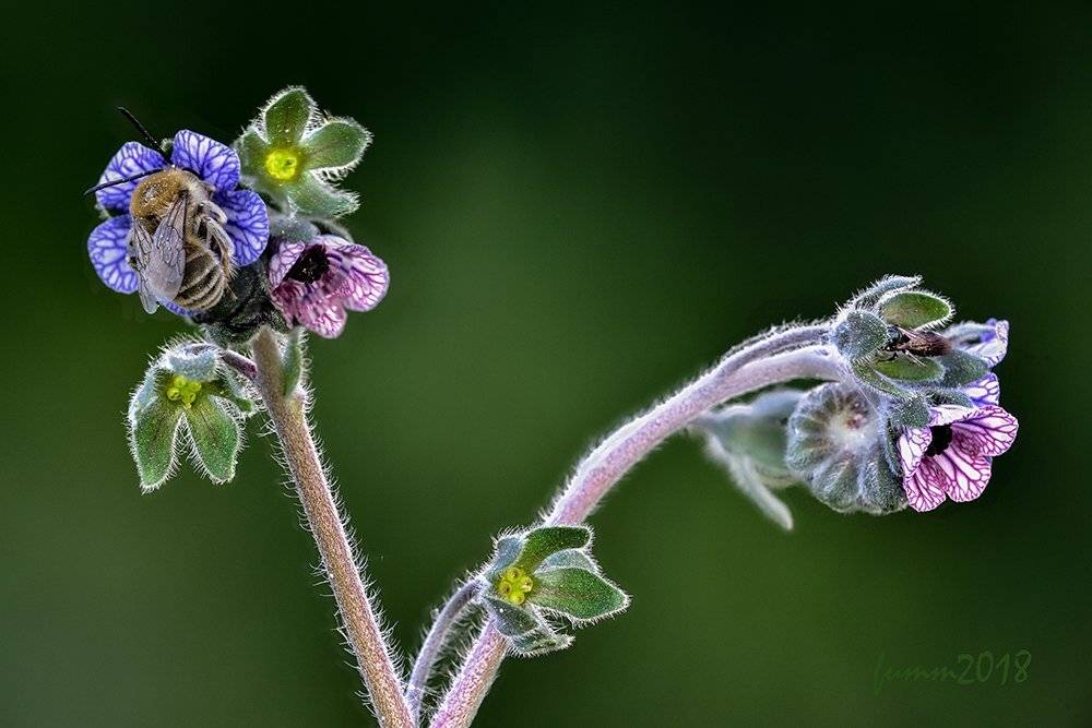 , Игорь ФУММ