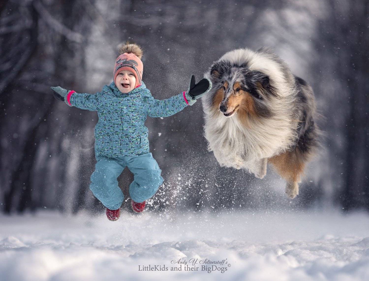 , Андрей Селиверстов