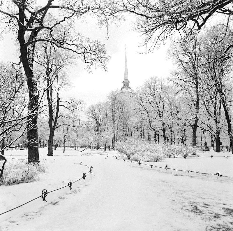 pentacon six, kodak t-max, biometar 120 f/2.8 mc, flektogon 50 f/4 Последний день зимы фото превью