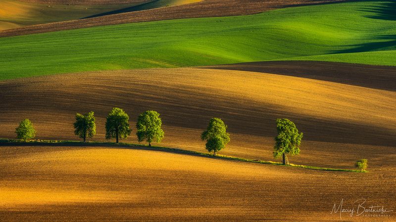 Chestnut Alley фото превью