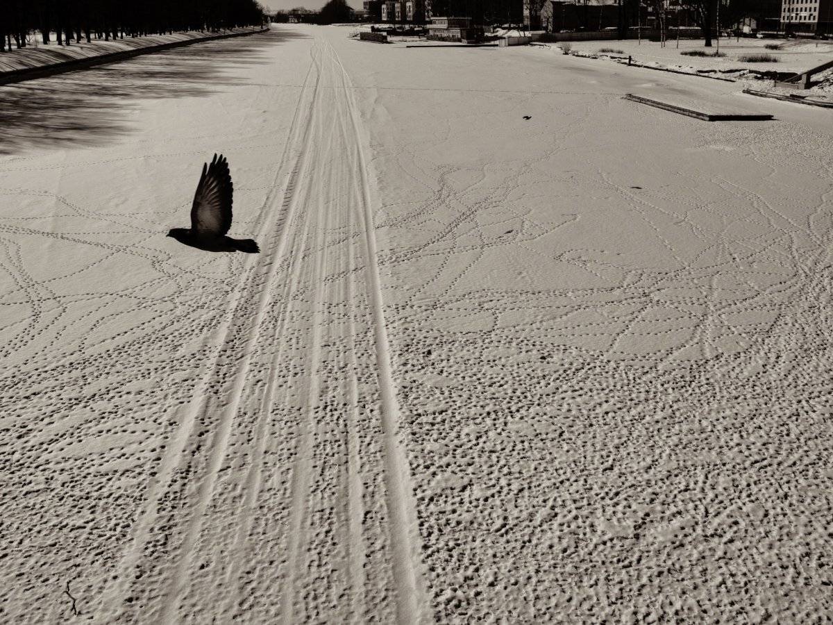 , Штабнов Юрий