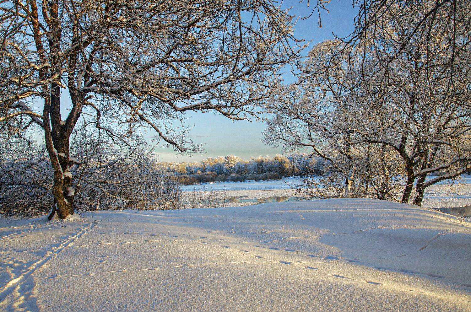 березуцкий александр, утро, андреевский луг, Александр Березуцкий