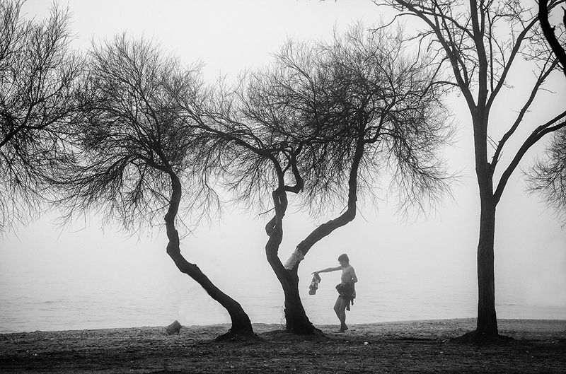 in cisine фото превью