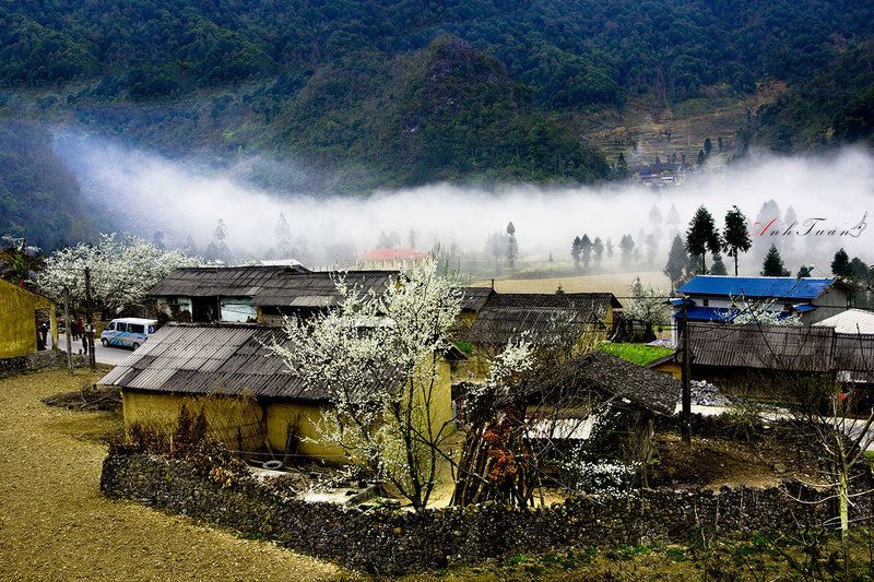 Pho Cao - Ha Giang - Viet Nam. фото превью
