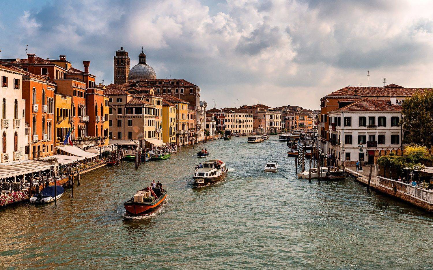 , Евгений Маркалев