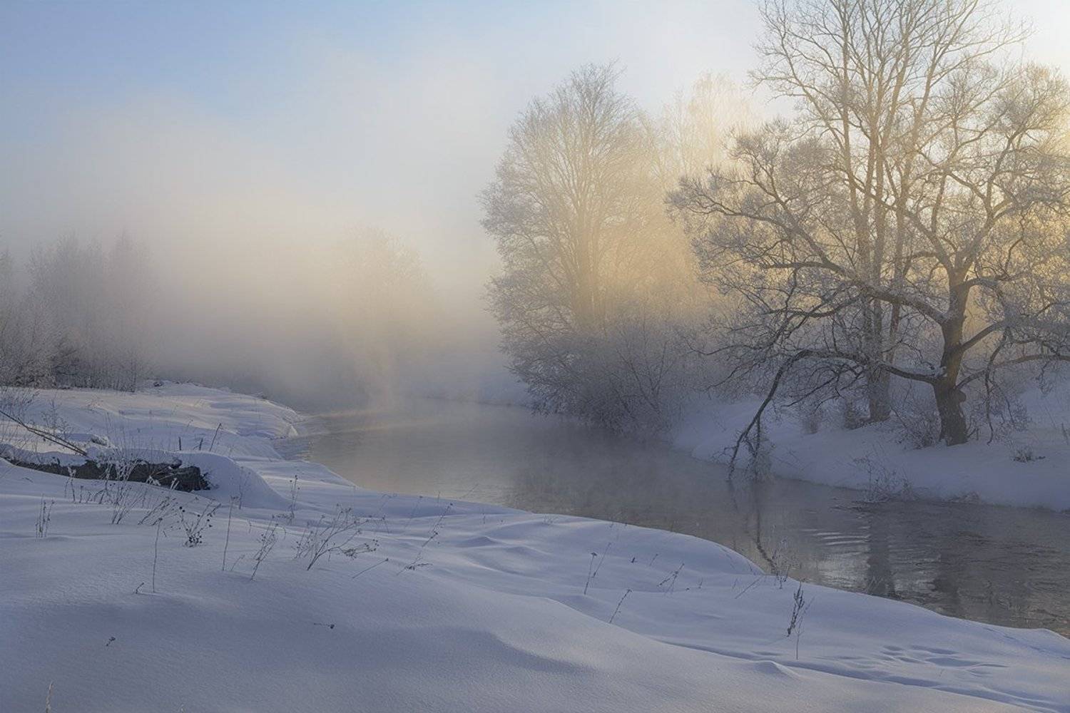 , Анатолий Зверев