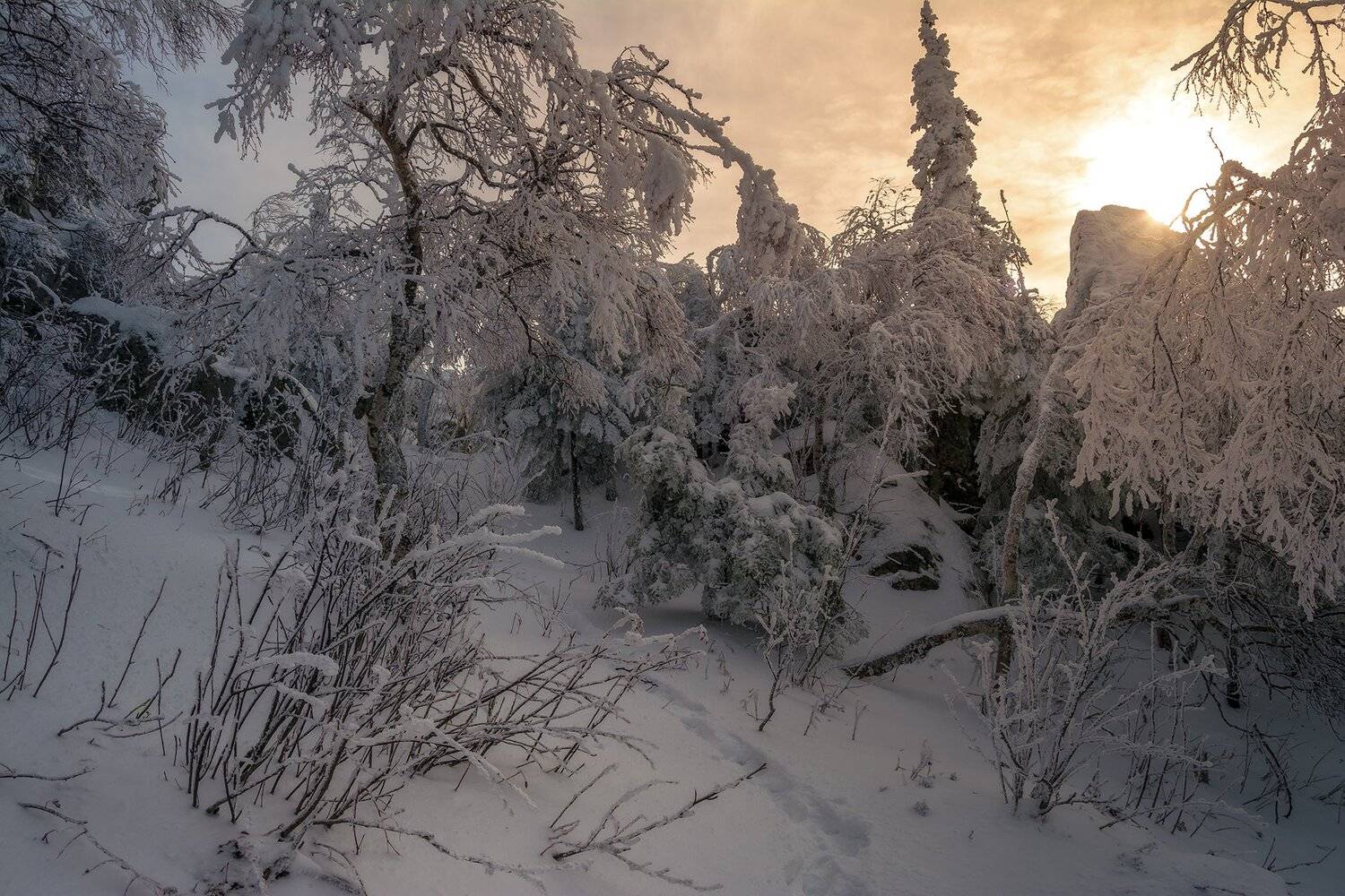 , Андрей Шарапов